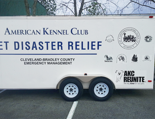 AKC Pet Disaster Relief Rolls Out Help for Pets in Tennessee