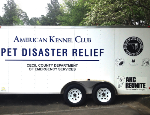 AKC Pet Disaster Relief Rolls Out Help for Pets in Maryland