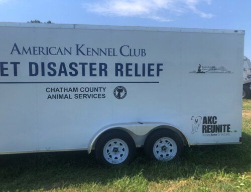 AKC Pet Disaster Relief Trailer to Help Displaced Pets in Chatham County, GA