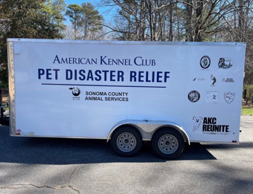 AKC Pet Disaster Relief Rolls Out Help For Pets in Sonoma County, CA