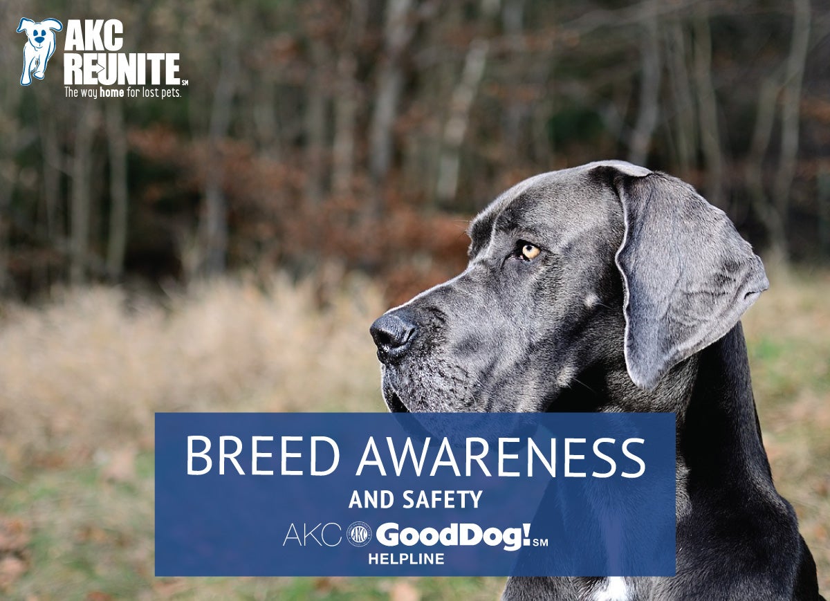 Breed Safety and Awareness
