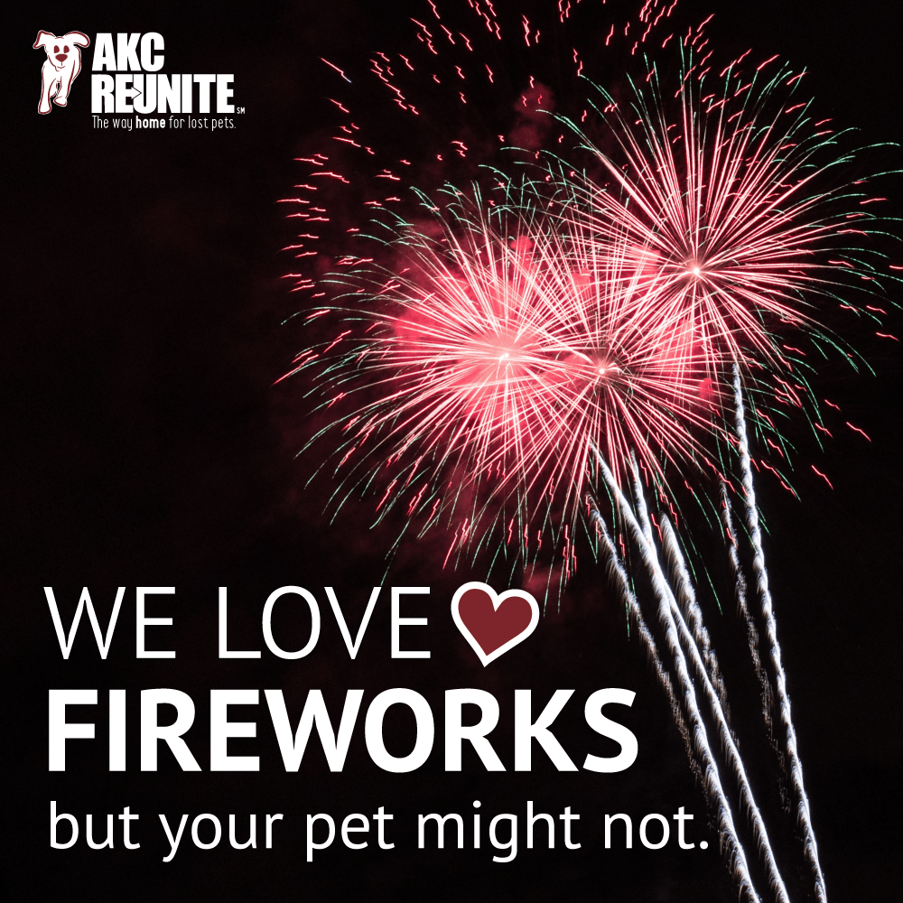 We Love Fireworks 