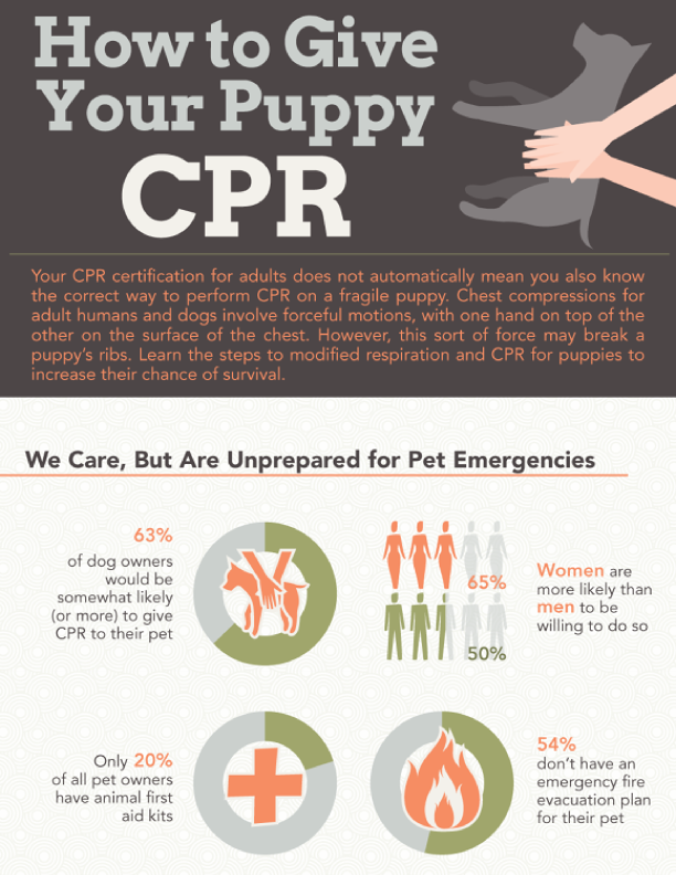 How to Give Your Puppy CPR 
