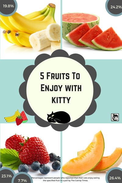 5 Fruits to Enjoy with Kitty