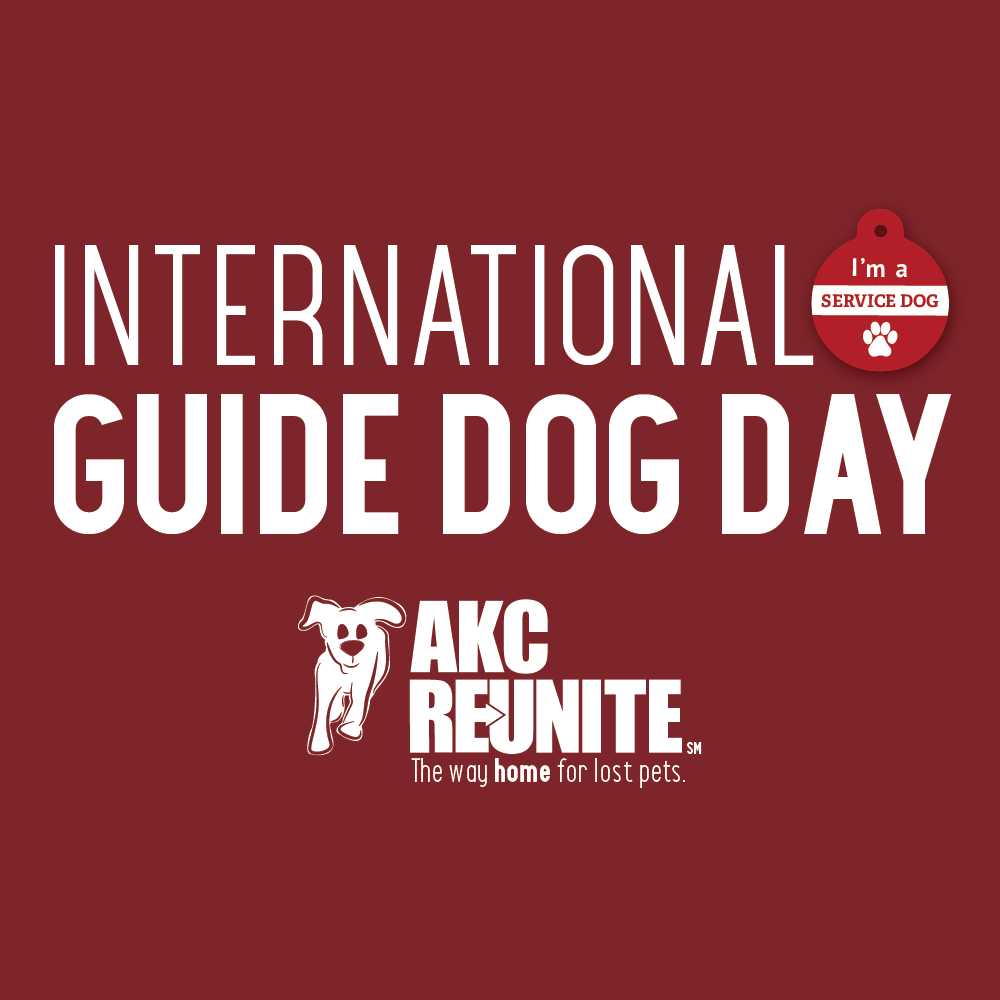 Guide Dog Day 