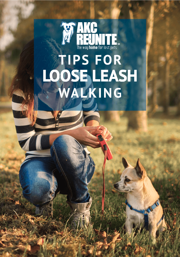 Tips for Loose Leash Walking