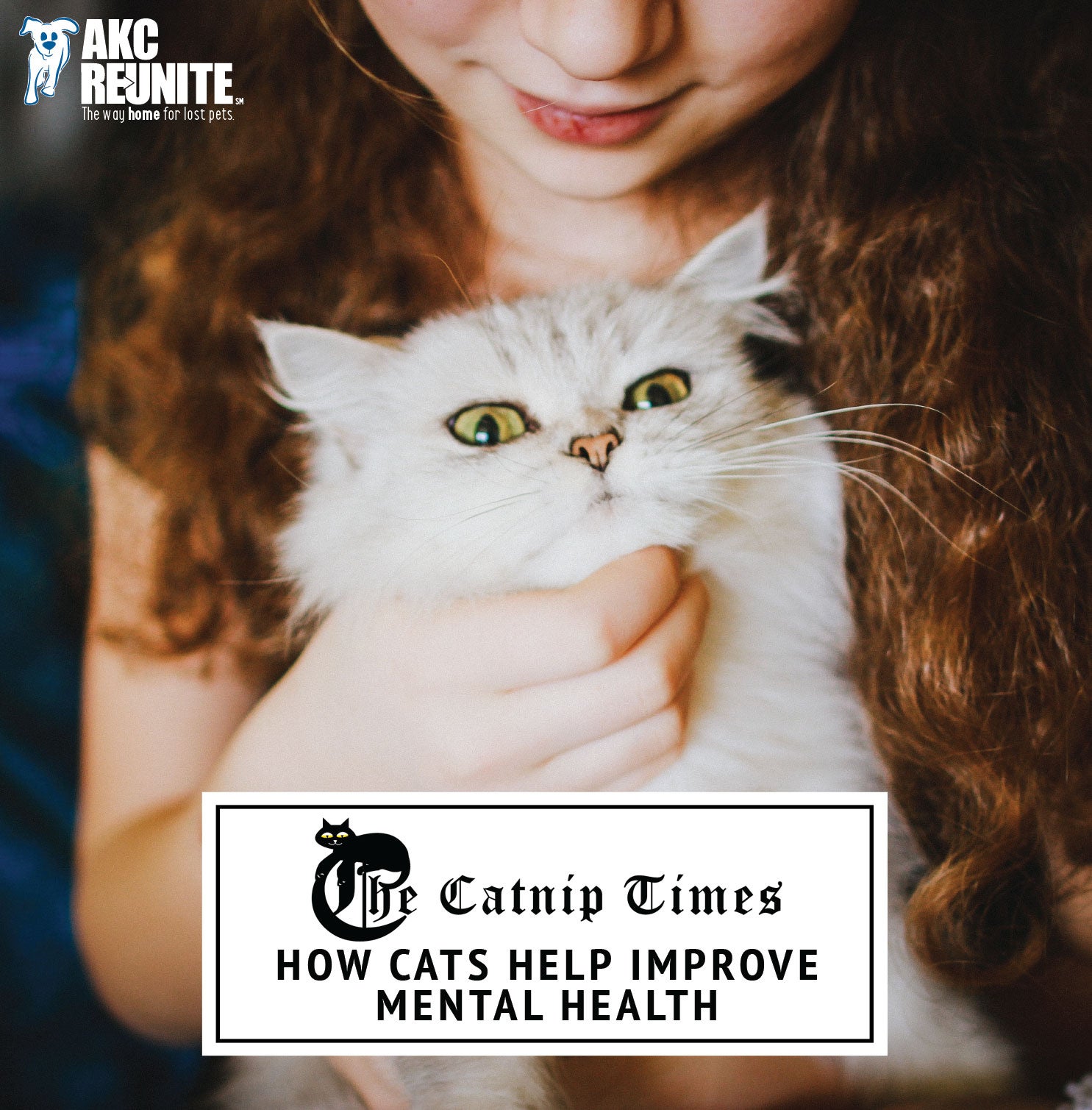 How Cats Help Improve Mental Health | The Catnip Times