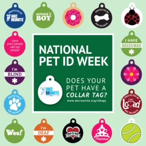 National Pet ID Week 