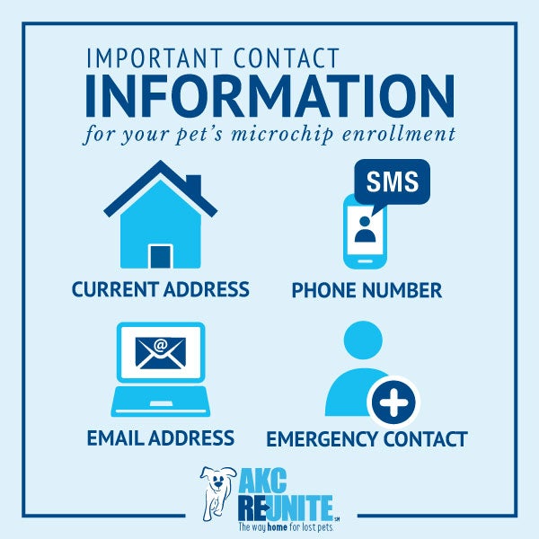 Up-to-date Contact Information 