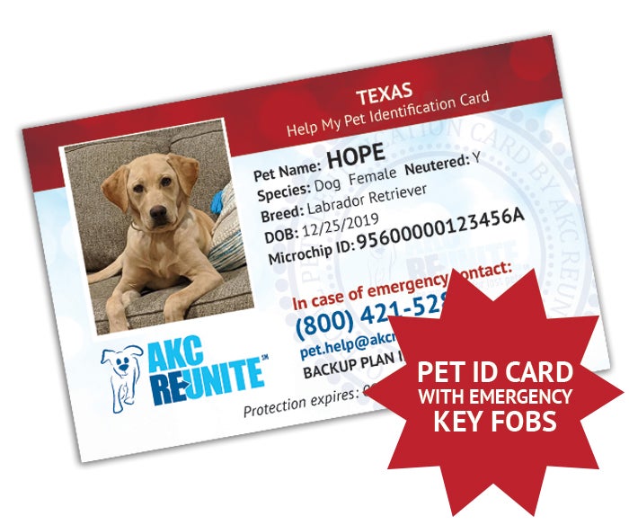 Lost Pet Recovery Service | Pet Microchips | AKC Reunite