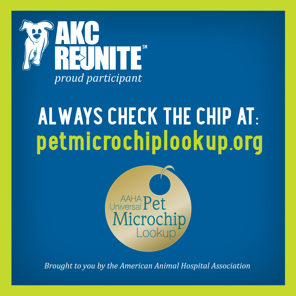 Pet Microchip Lookup