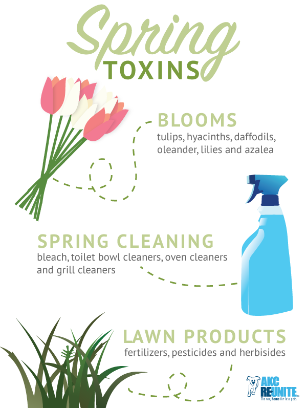 Spring Toxins General 