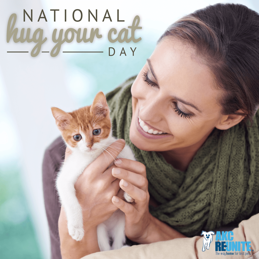 Hug Your Cat Day 